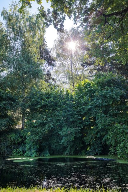 Le Claux D-EON exterieurs00004 petite marre des jardins du Claux d'éon gite en aveyron