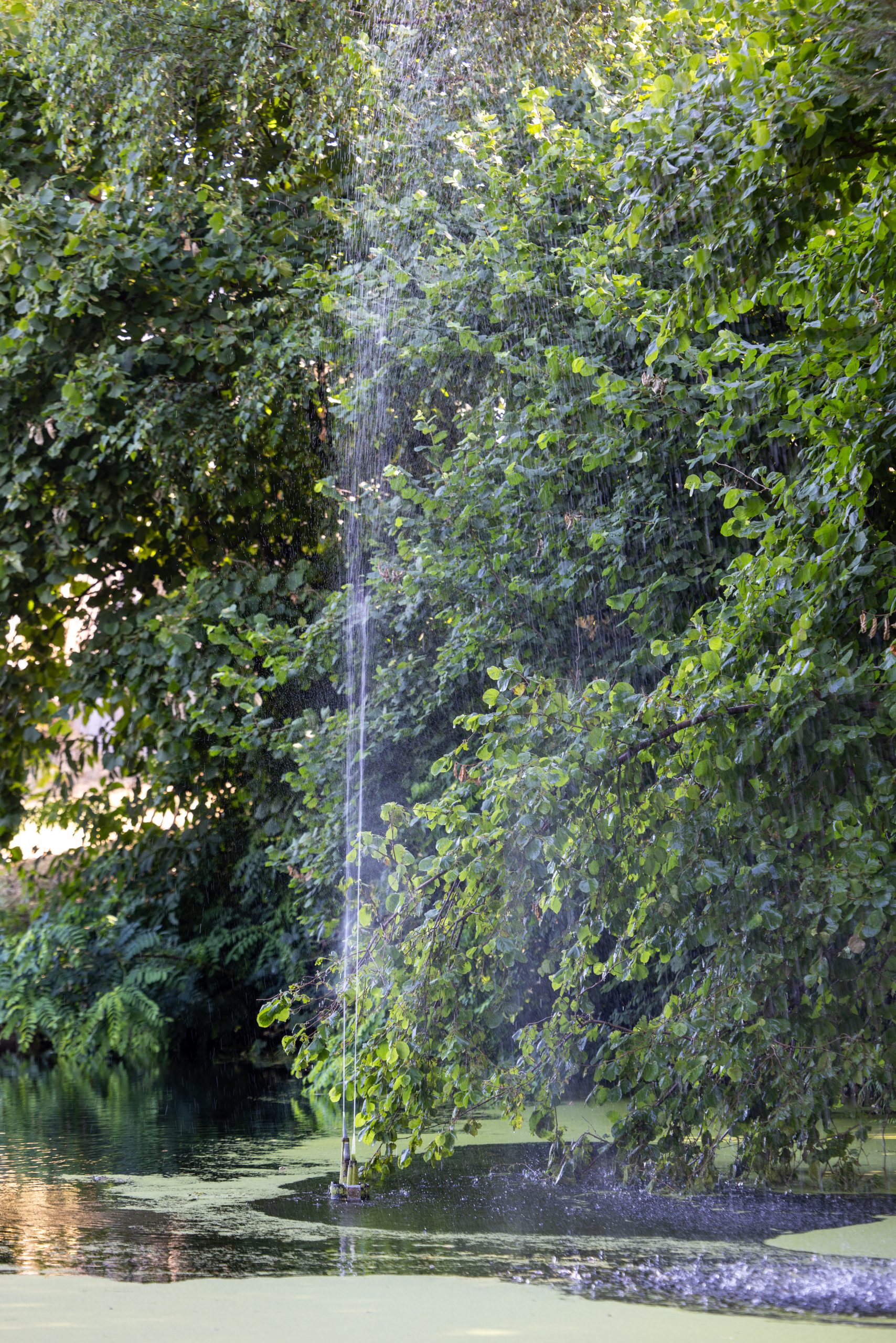 Le Claux D-EON exterieurs00005 jeux d'eau au claux d'éon